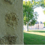 Maçonnerie de mur en pierre, jointement